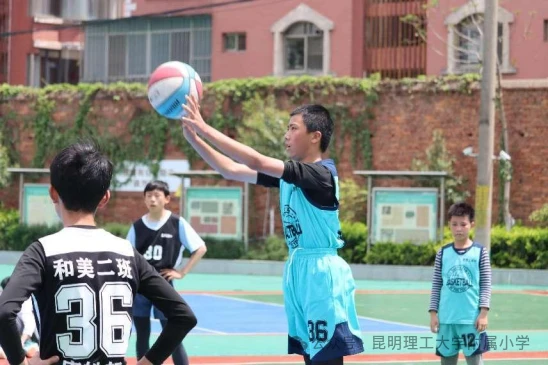 篮球训练活动内容记录范文_2